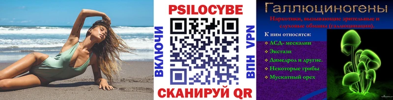 Галлюциногенные грибы Psilocybine cubensis  дарнет шоп  Рошаль 